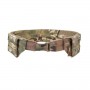 LOW PROFILE MOLLE BELT WARRIOR ASSAULT SYSTEMS